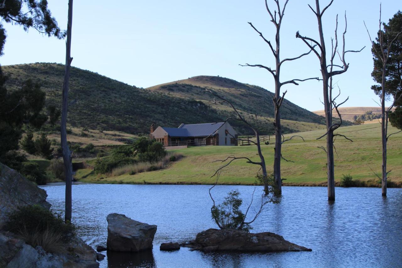 Wetlands Game Lodge Wakkerstroom Exteriör bild