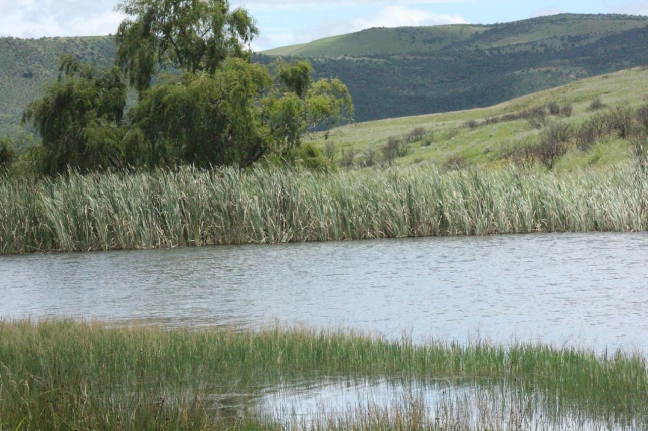 Wetlands Game Lodge Wakkerstroom Exteriör bild